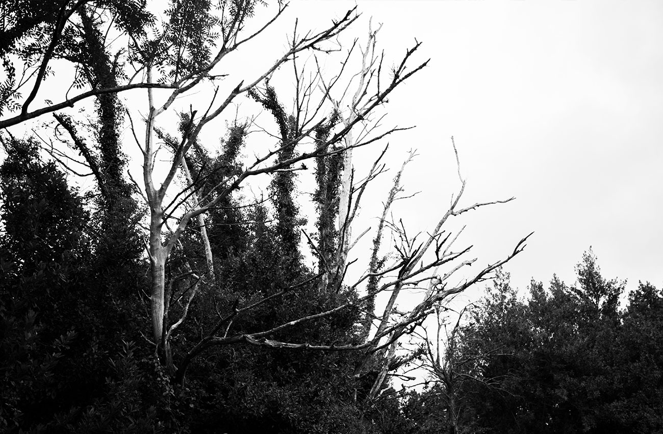 izal-casa-rural-bilbao