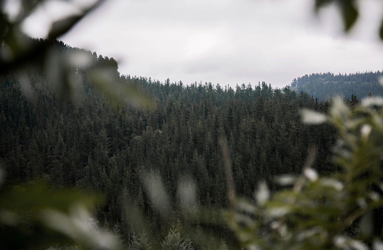 izal-casa-rural-entorno-natural-pais-vasco