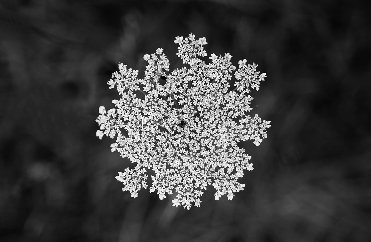 izal-casa-rural-entorno-privilegiado-bergara