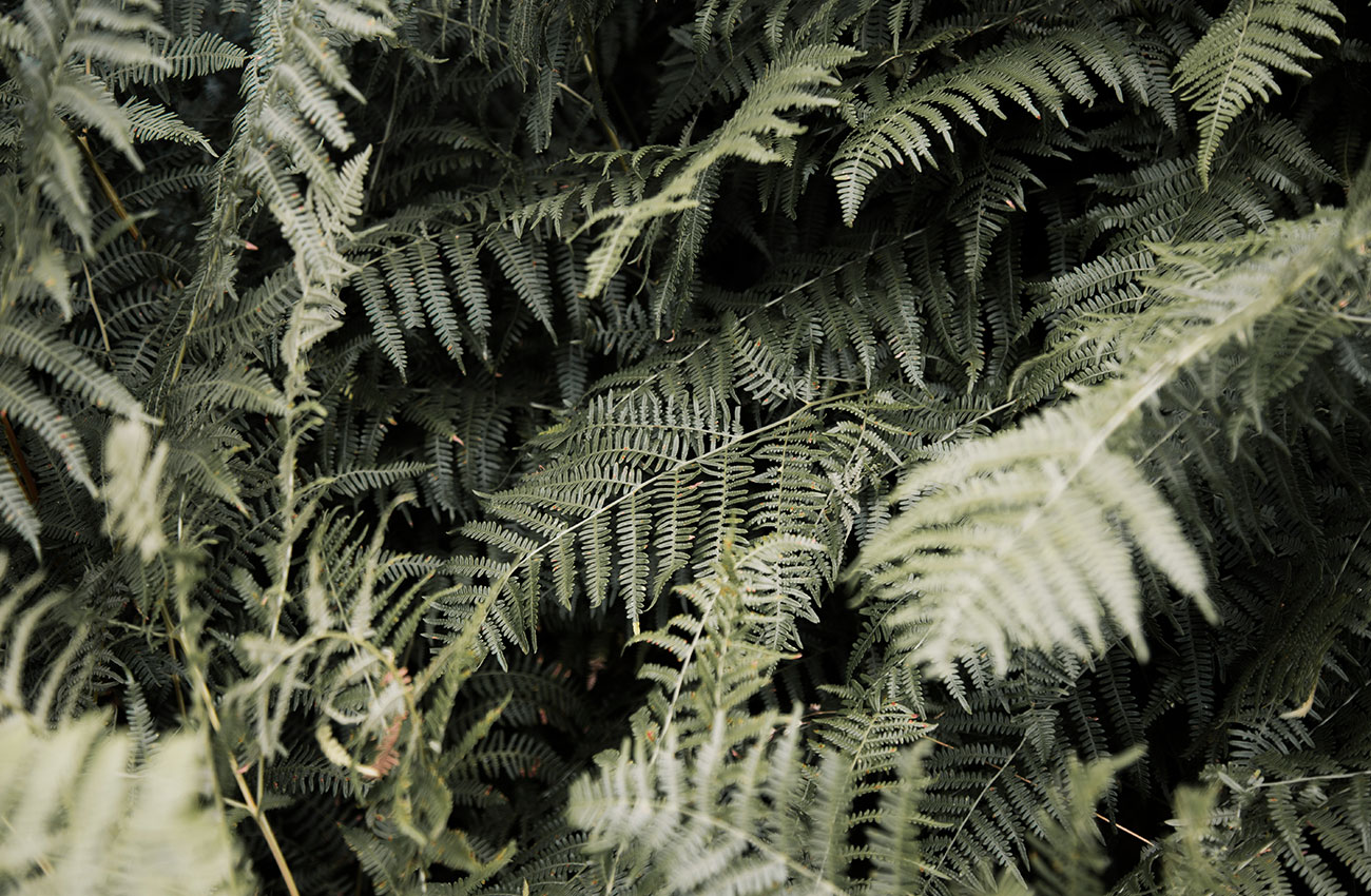 izal-casa-rural-entorno-privilegiado-pais-vasco