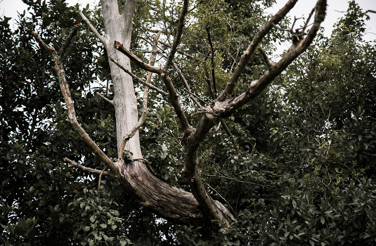 izal-casa-rural-san-sebastian