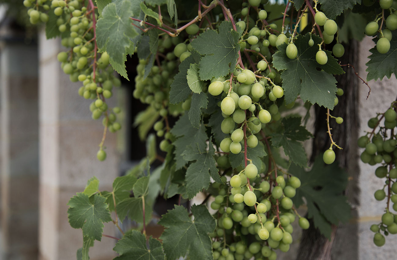 izal-casa-rural-servicios-spain